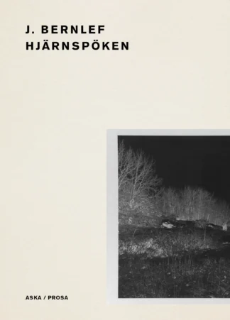 Hjärnspöken